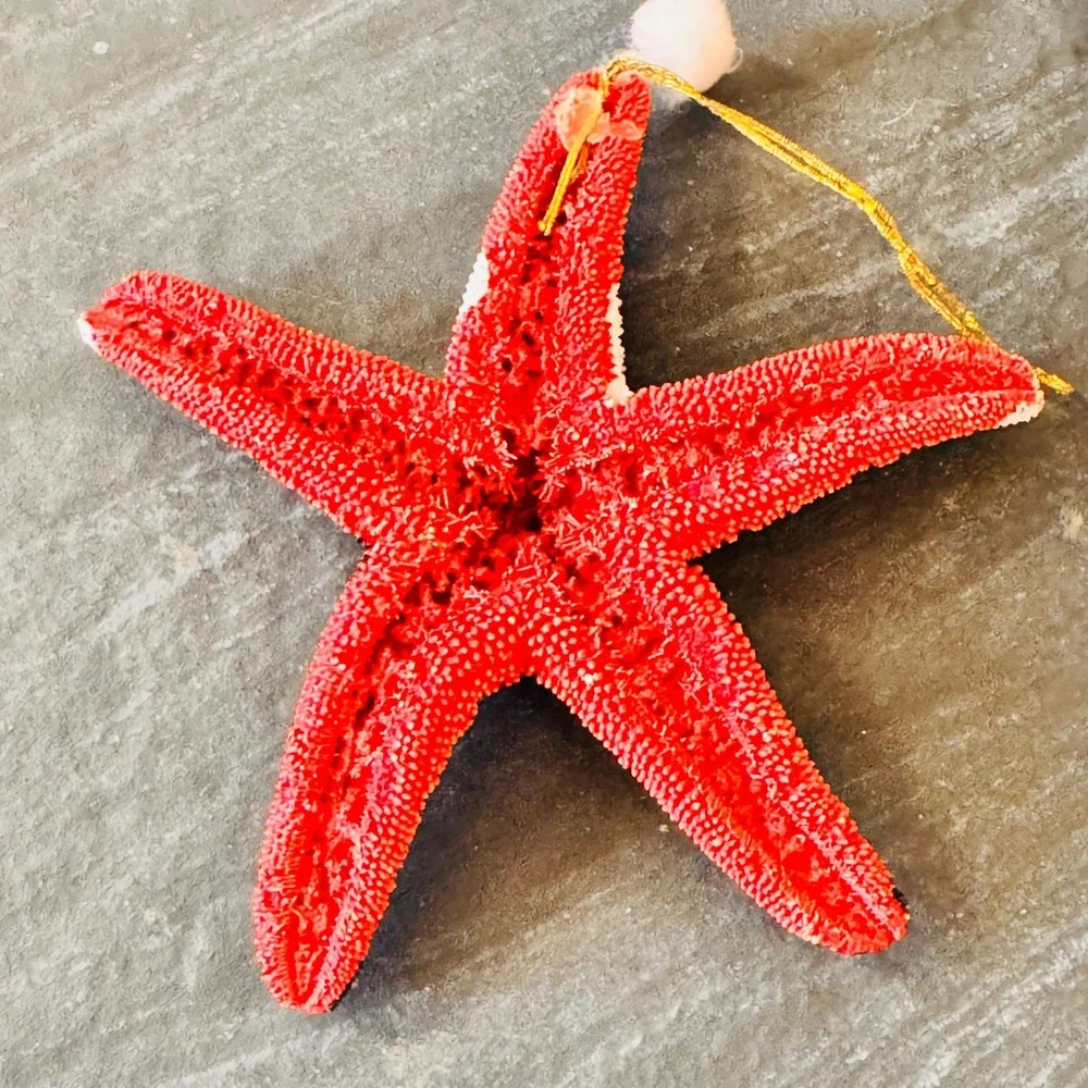 Handmade Vintage Santa Starfish‎ Christmas Ornament Unique Holiday Decor Festive